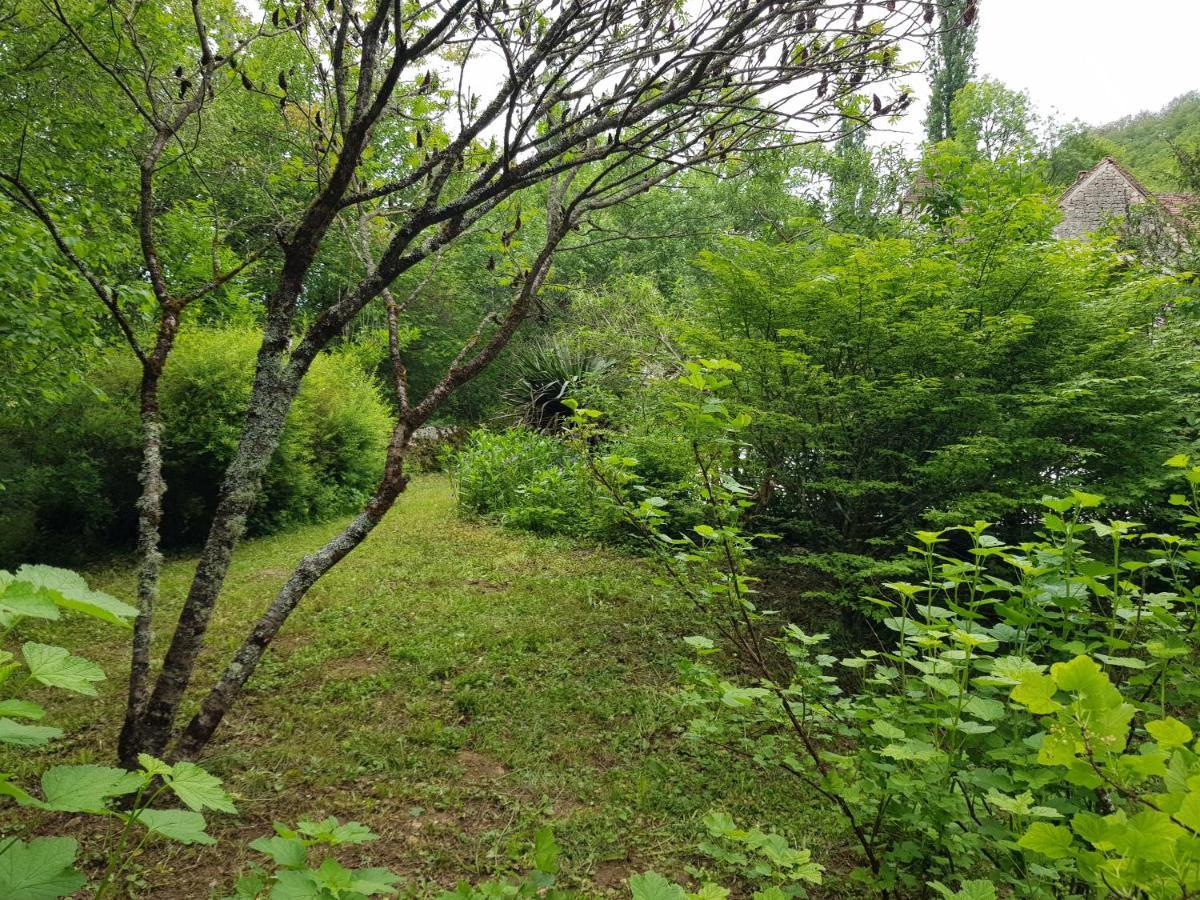 לינה וארוחת בוקר Murat Le Moulin De Jules Et Akasha מראה חיצוני תמונה